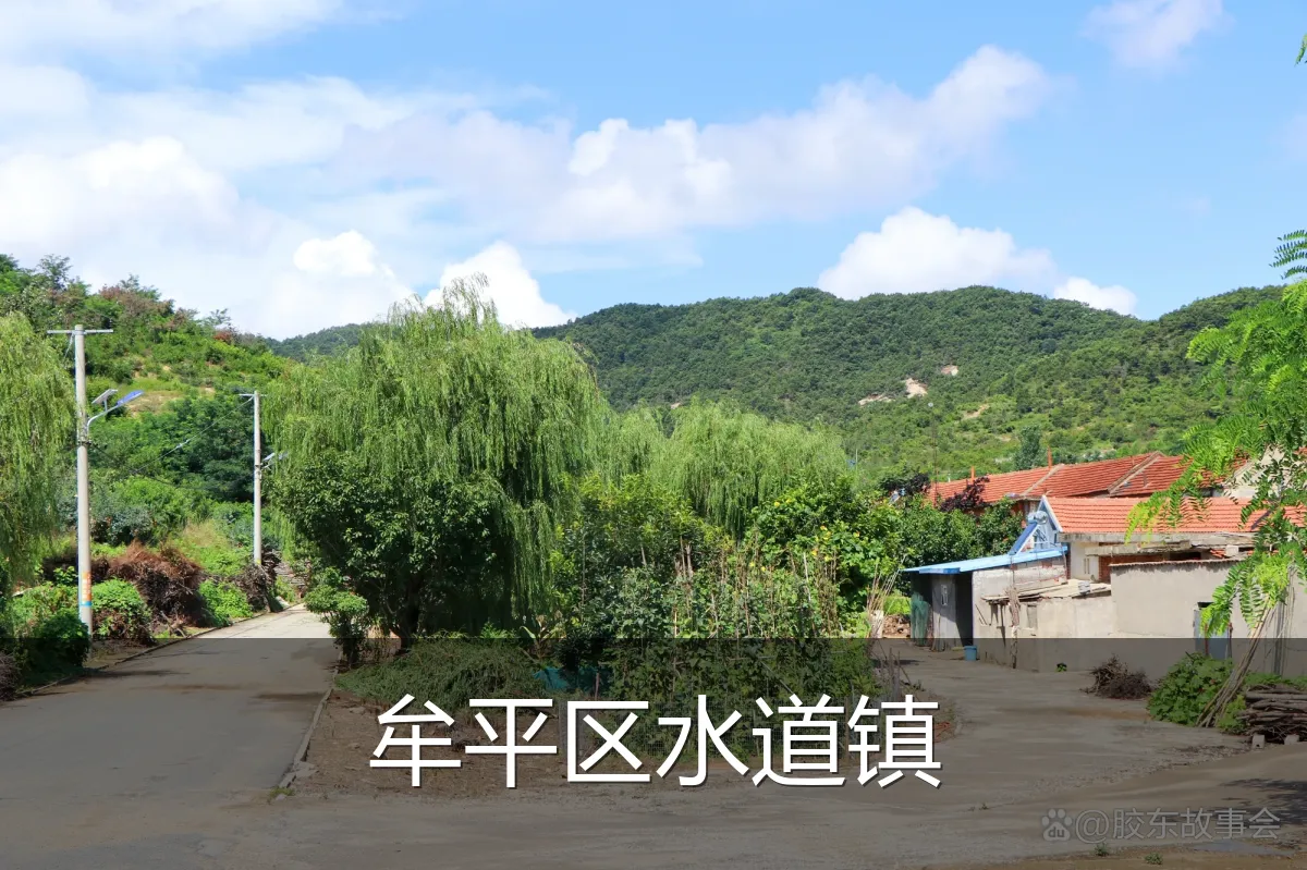 牟平区水道镇