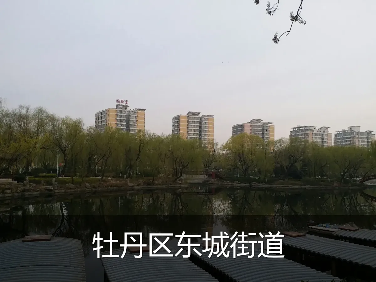 牡丹区东城街道