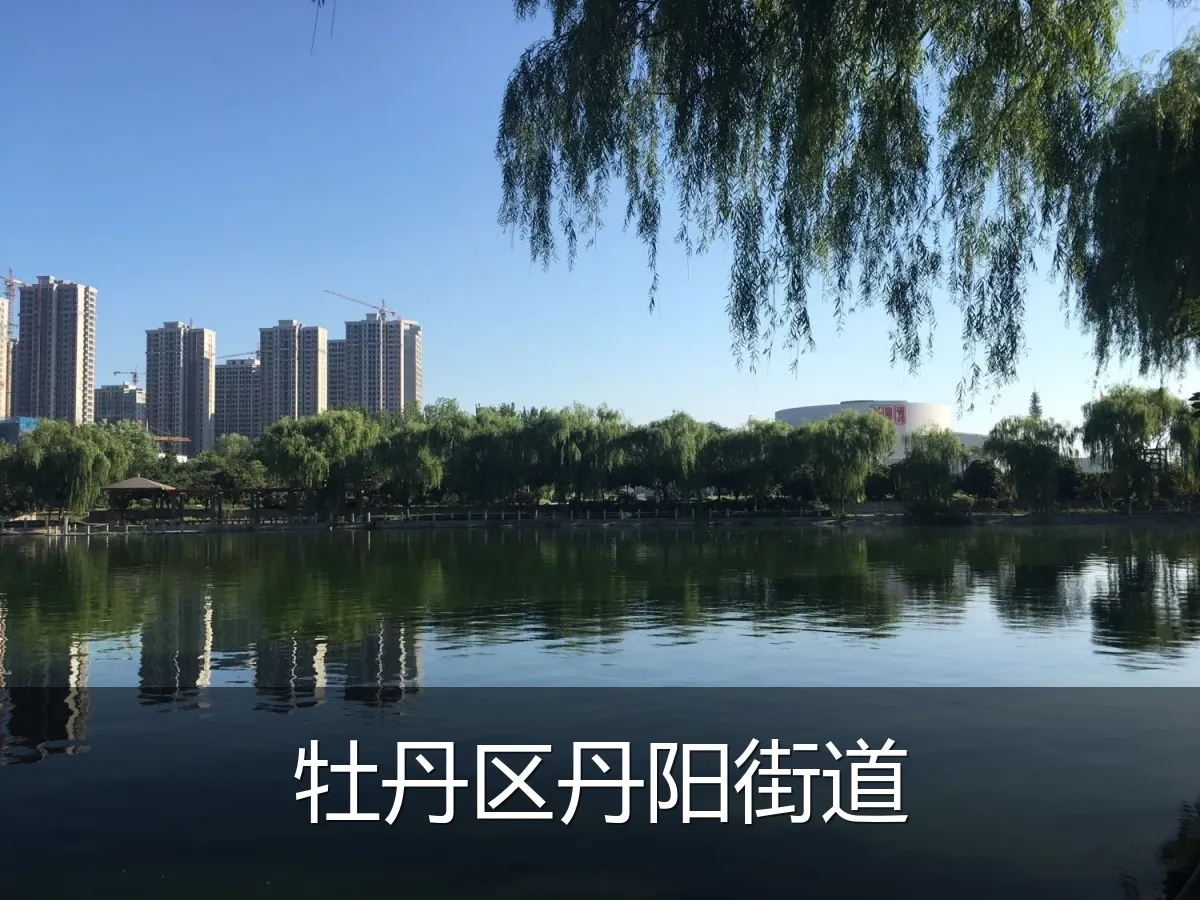 牡丹区丹阳街道