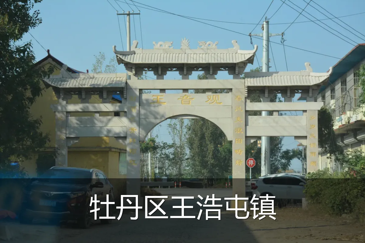 牡丹区王浩屯镇