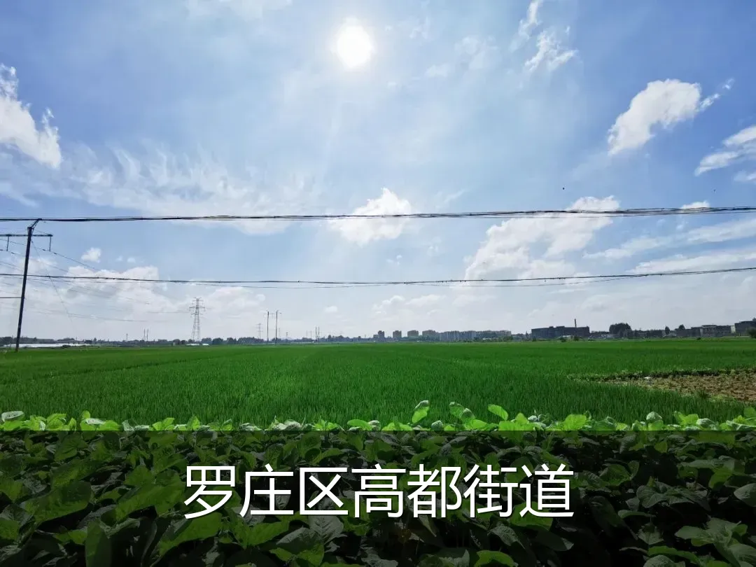 罗庄区高都街道