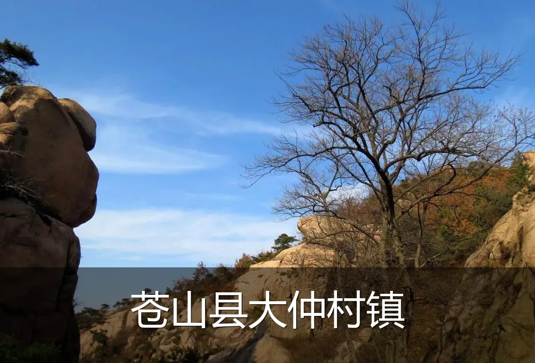 苍山县大仲村镇