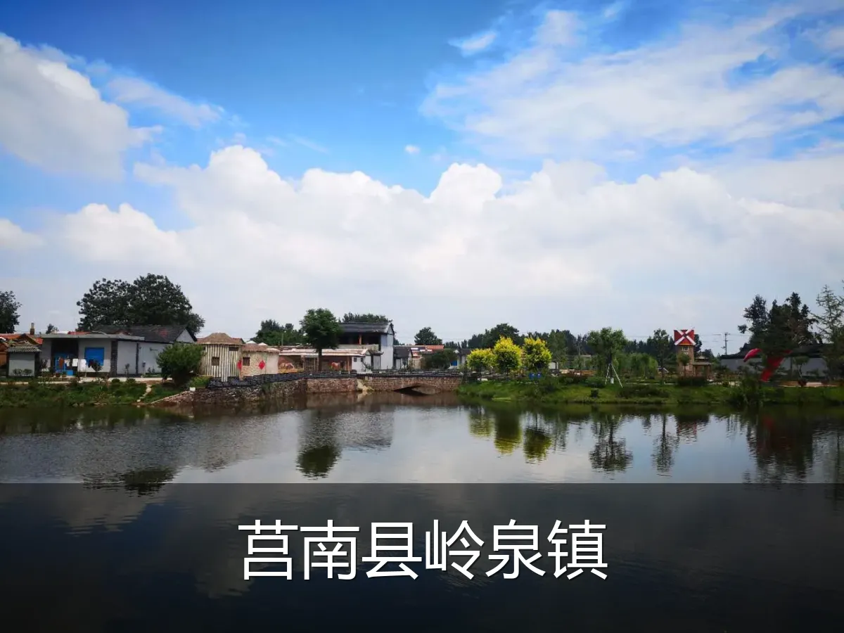 莒南县岭泉镇