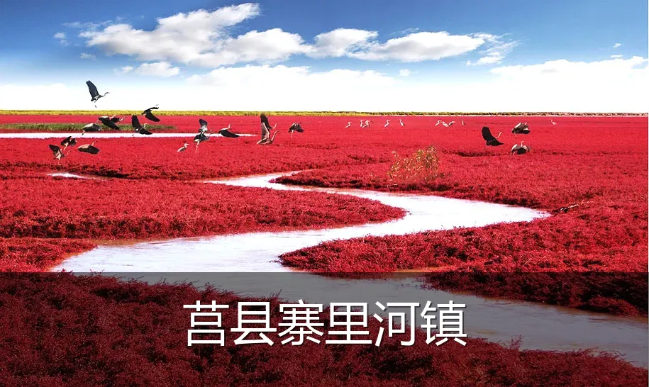 莒县寨里河镇