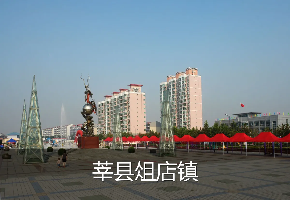 莘县俎店镇