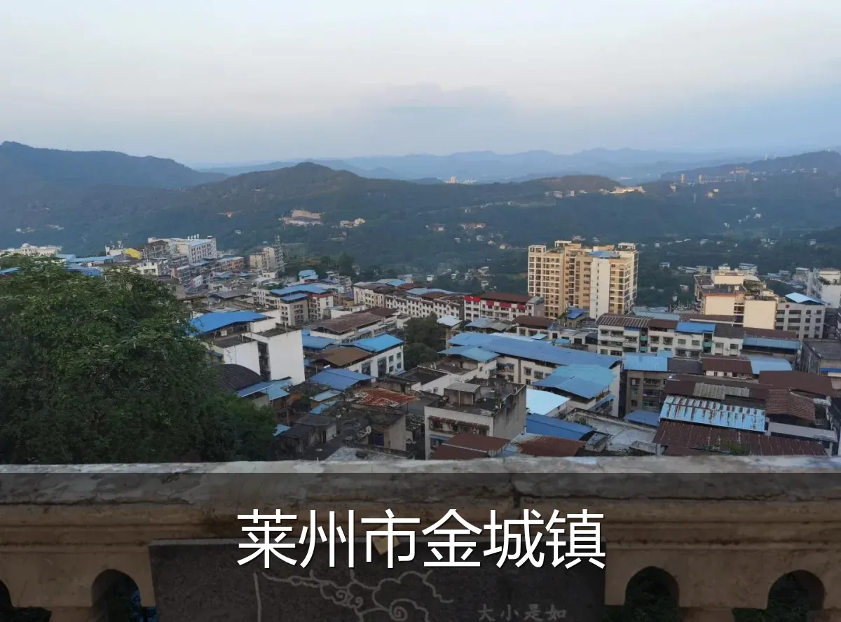 莱州市金城镇