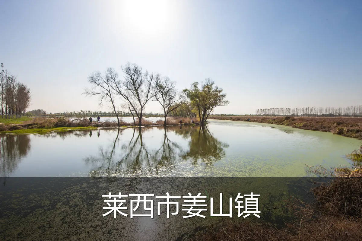 莱西市姜山镇