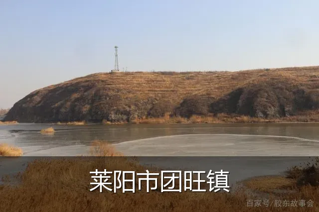 莱阳市团旺镇