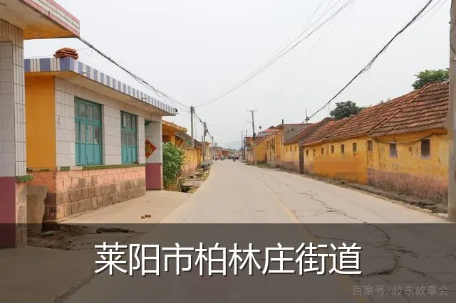 莱阳市柏林庄街道