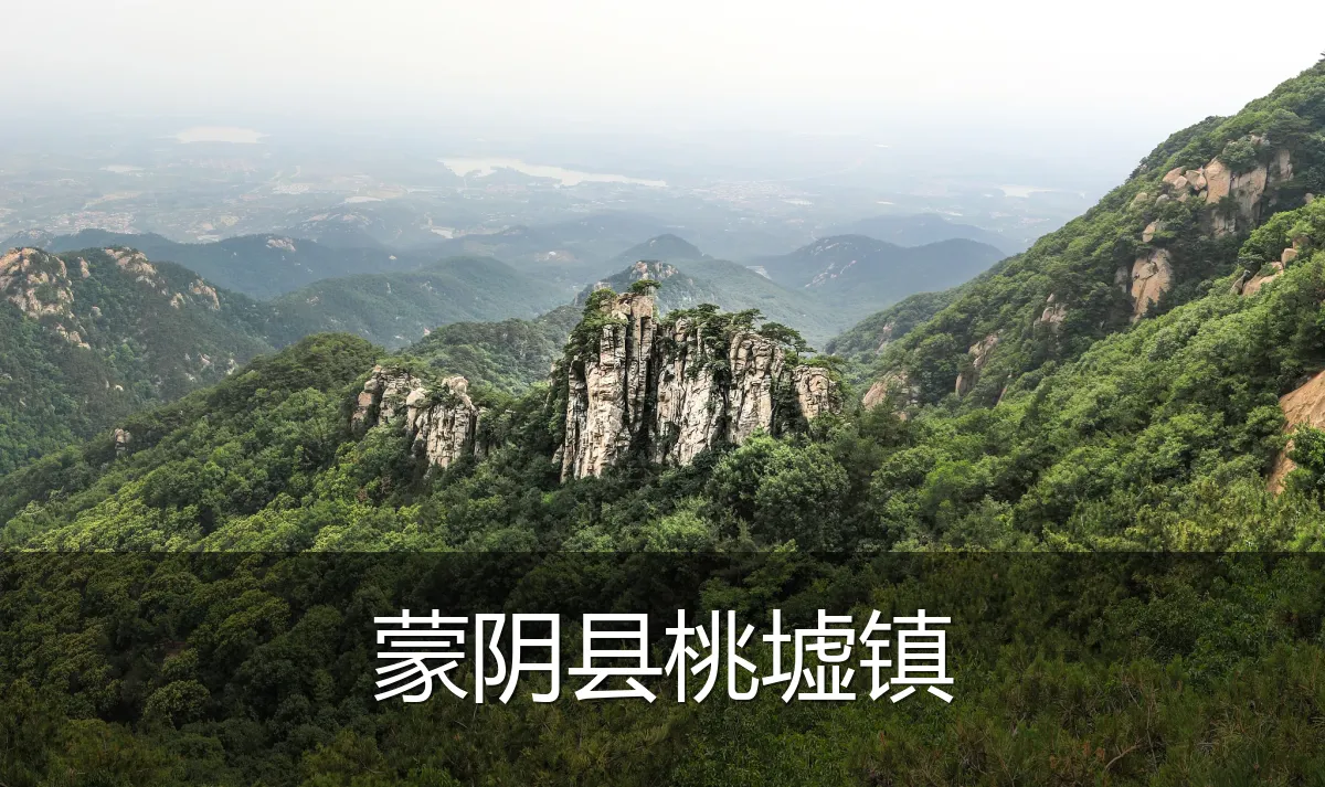 蒙阴县桃墟镇