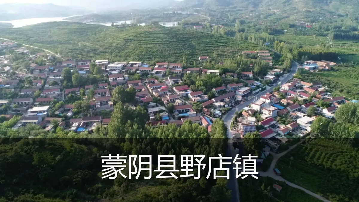 蒙阴县野店镇