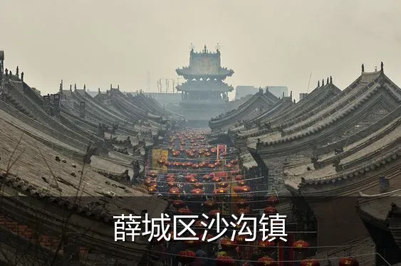 薛城区沙沟镇