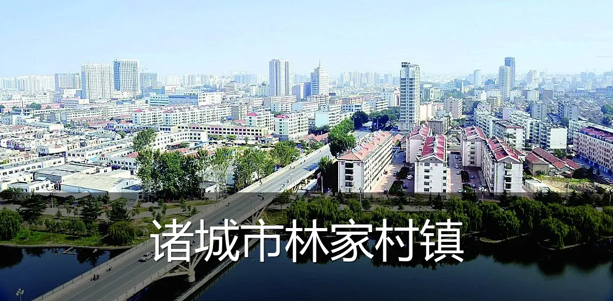 诸城市林家村镇