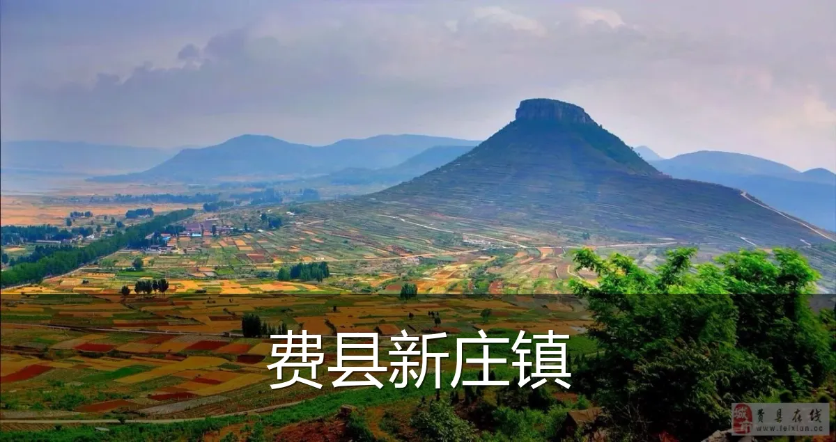 费县新庄镇