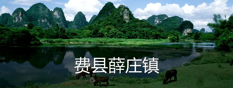 费县薛庄镇