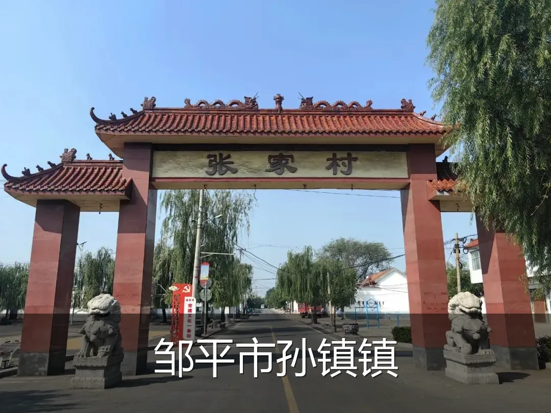 邹平市孙镇镇