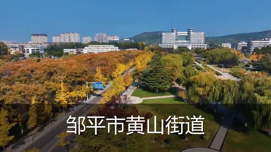 邹平市黄山街道