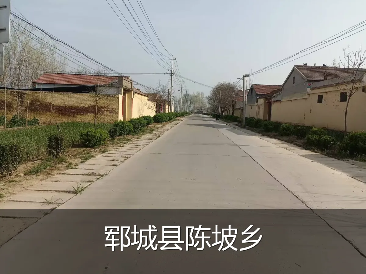 郓城县陈坡乡