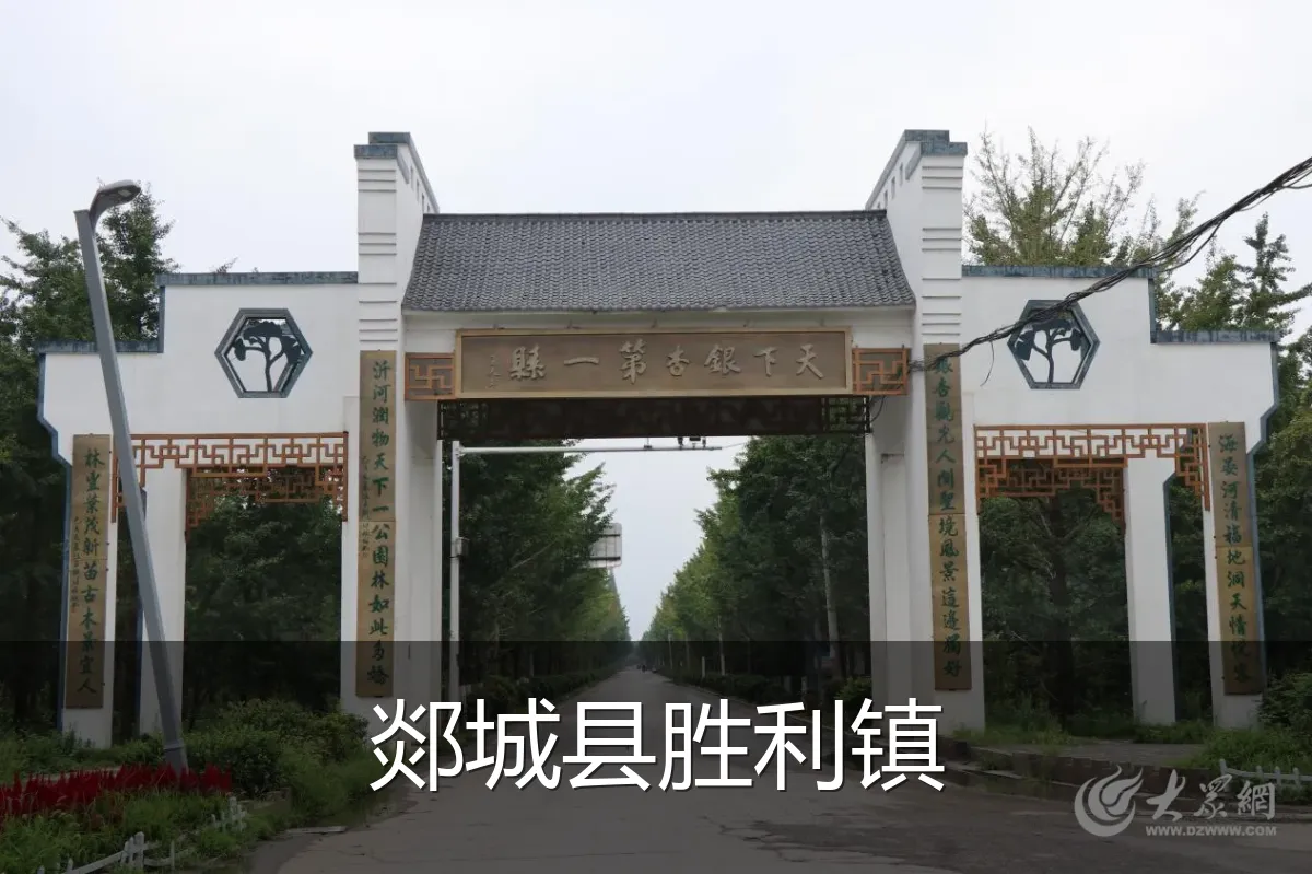 郯城县胜利镇