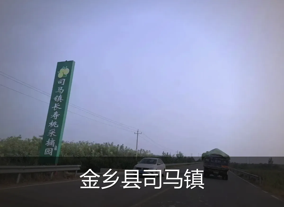 金乡县司马镇