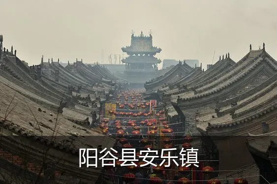 阳谷县安乐镇