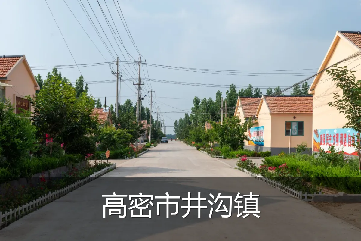 高密市井沟镇