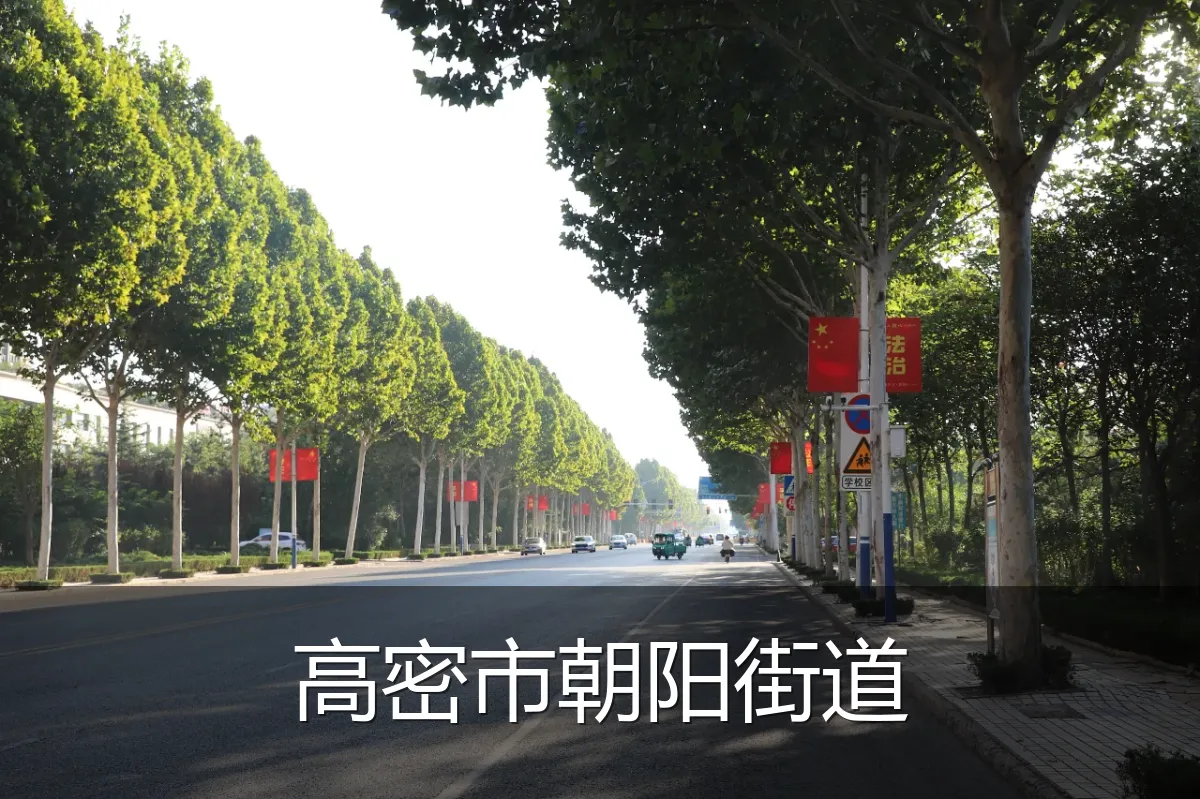 高密市朝阳街道