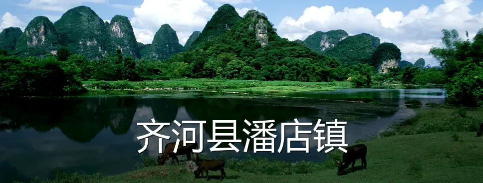 齐河县潘店镇