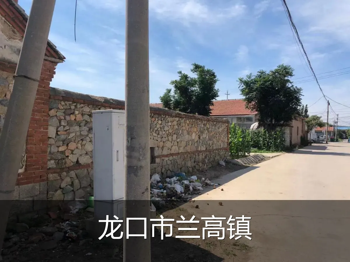 龙口市兰高镇